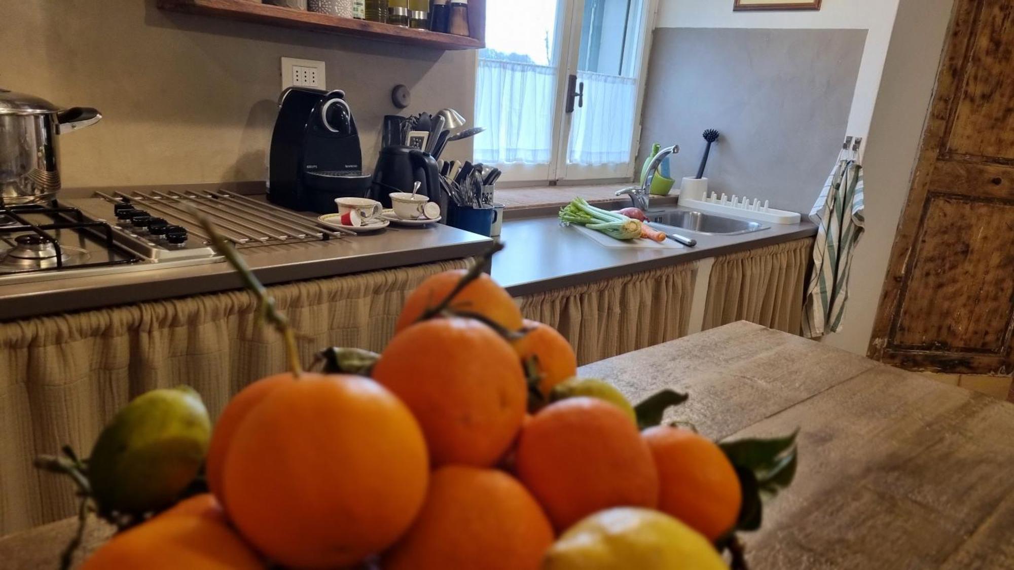 Il Piccino 29, Esperienza Romantica In Borgo.... Montescudaio Buitenkant foto